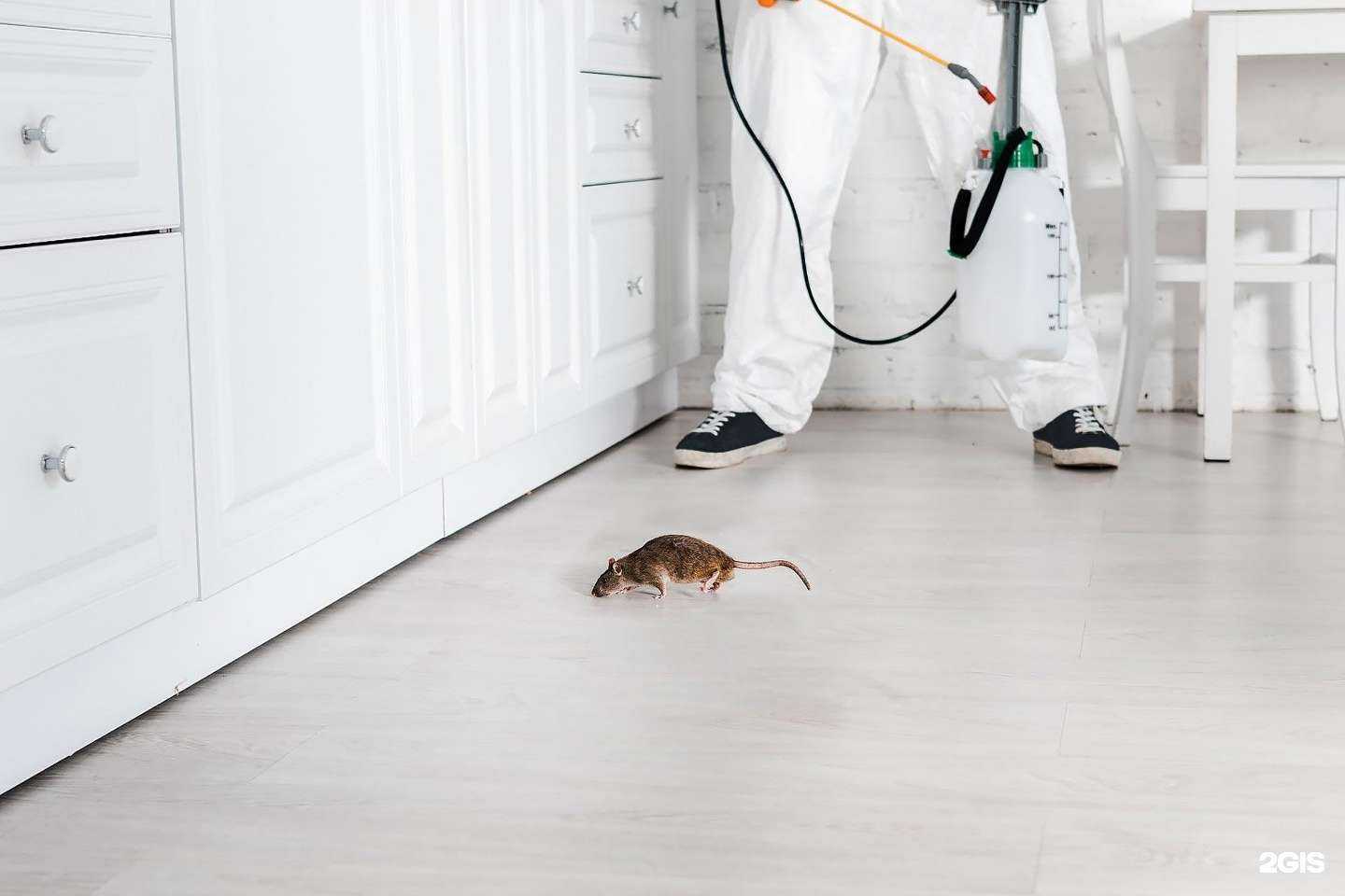 Отзывы на компанию Абсолют в Новосибирске c фото