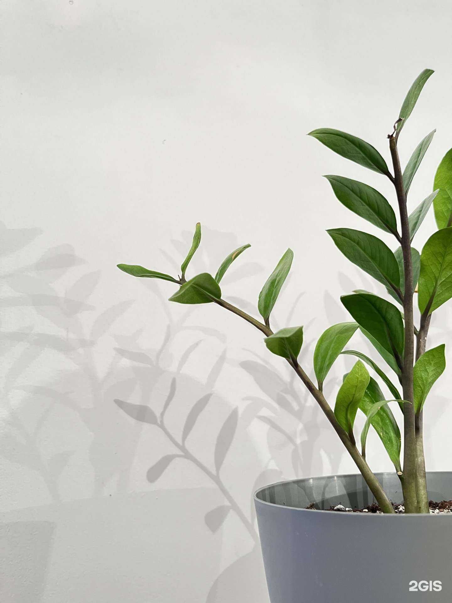 Отзывы на компанию Лаборатория души в г. Тюмень c фото