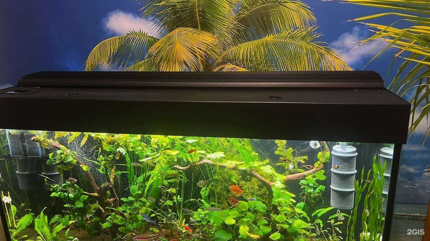 Отзывы на компанию AkvariumSvet в Лыткарине c фото