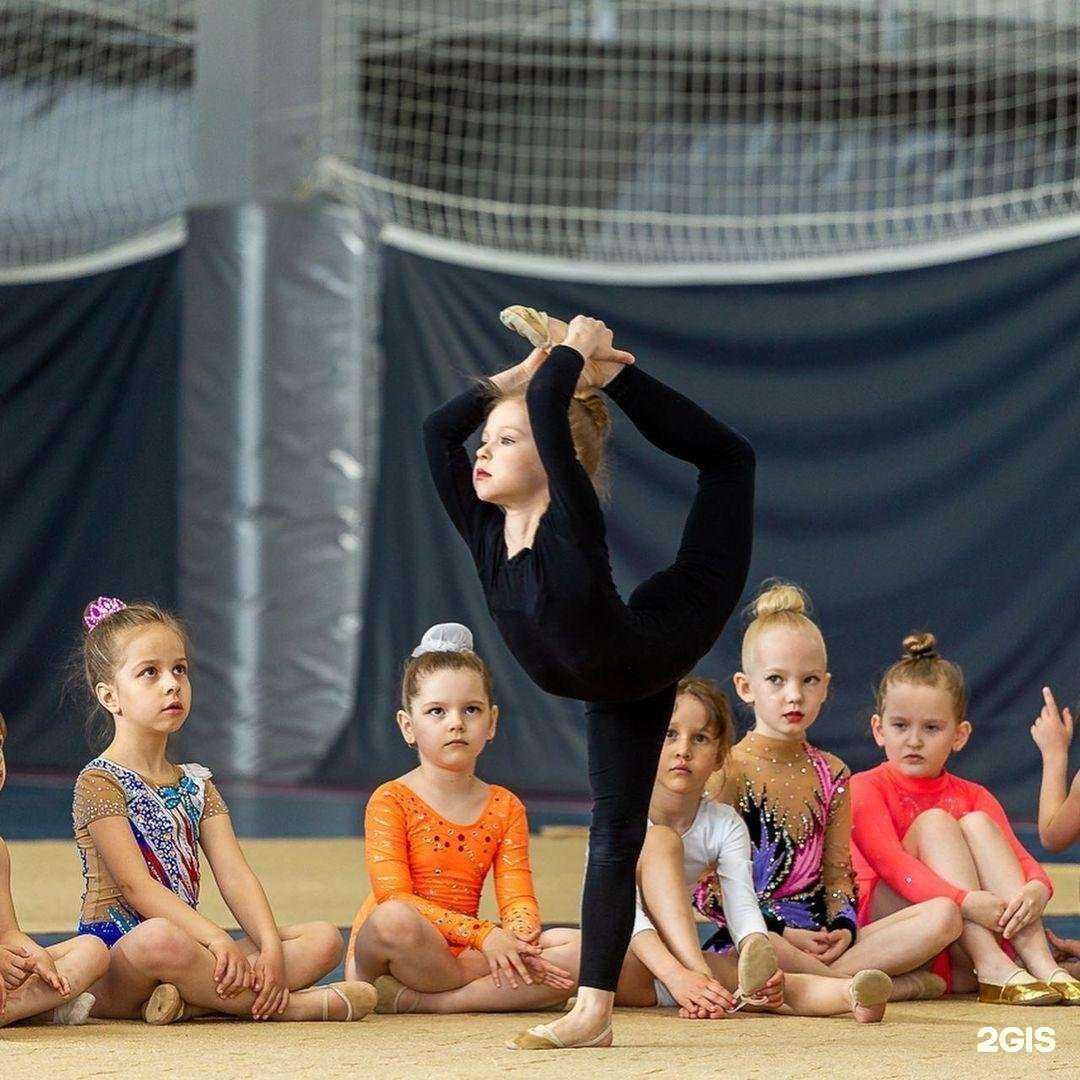 Отзывы на компанию Стройнофф в г. Светлогорск c фото