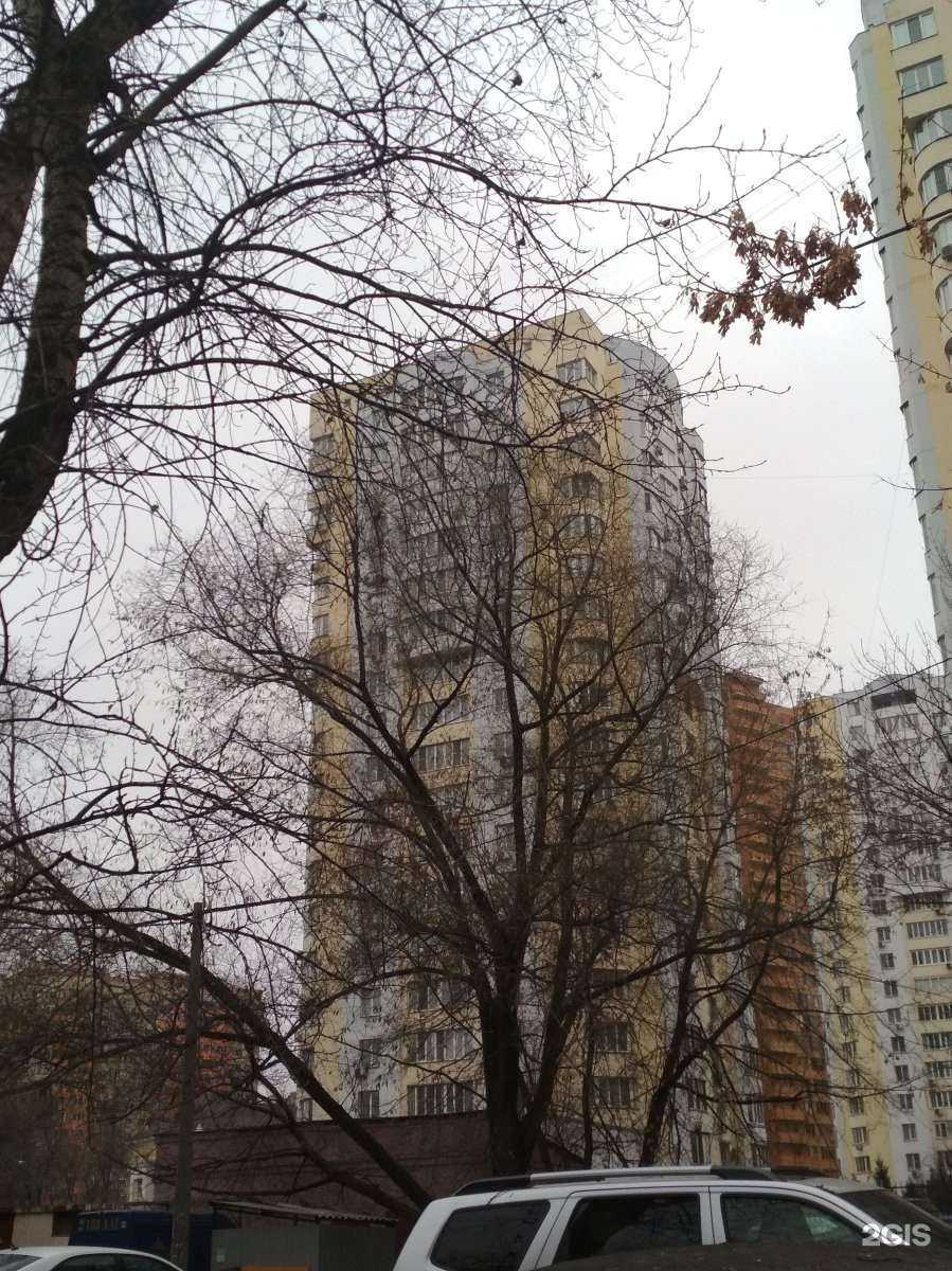 Отзывы на компанию Маленький гений в Реутове c фото - фотография 2 из 2