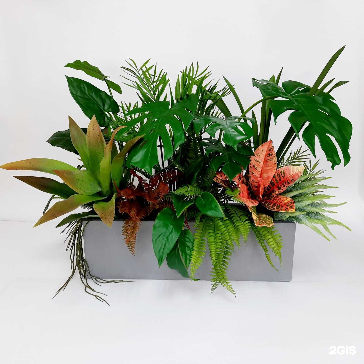 Отзывы на компанию GreenDecor в Петропавловске-Камчатском c фото