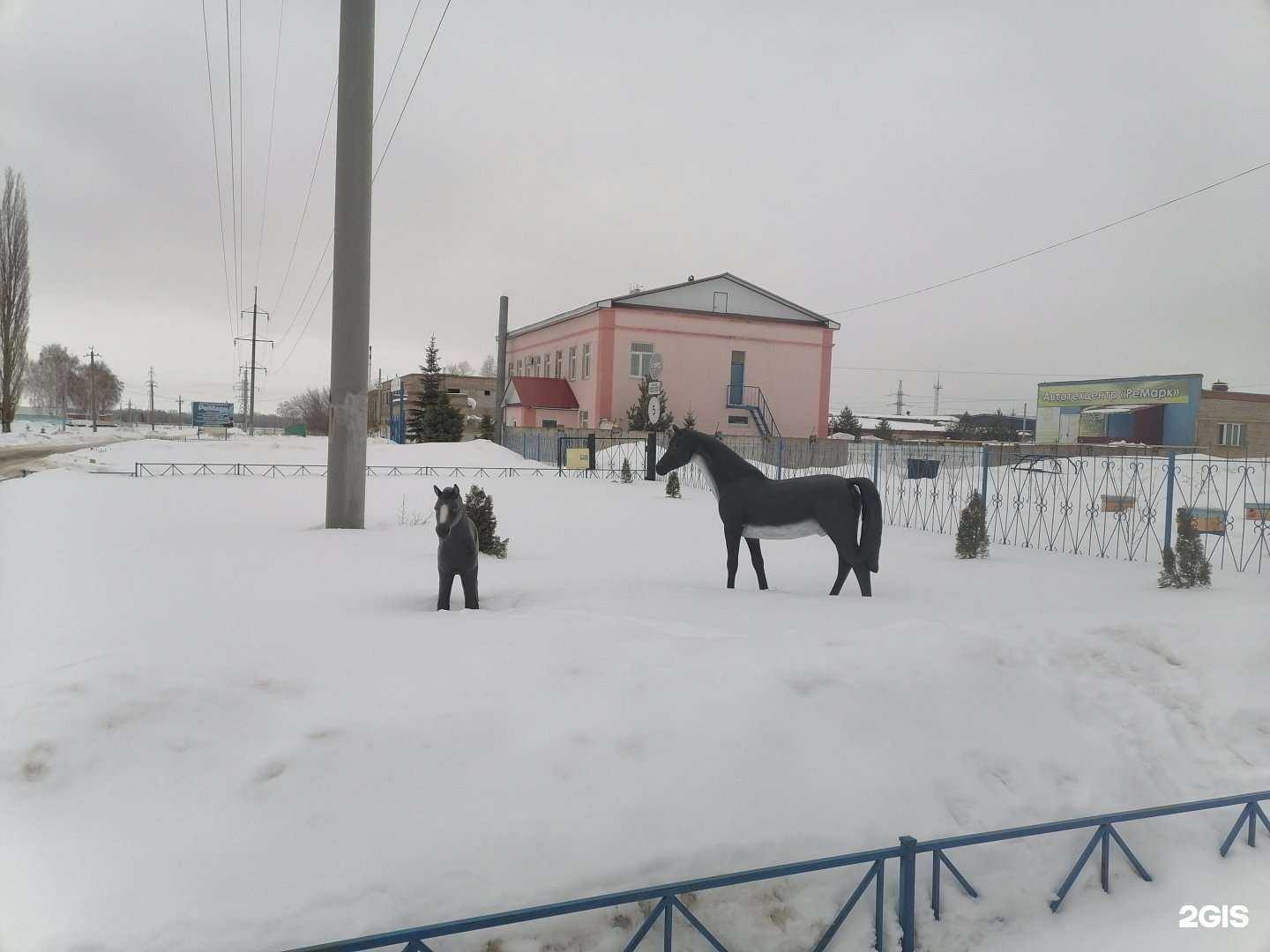 Отзывы на компанию Ветеринарная станция Ишимбайского района и г. Салавата Республики Башкортостан в г. Ишимбай c фото