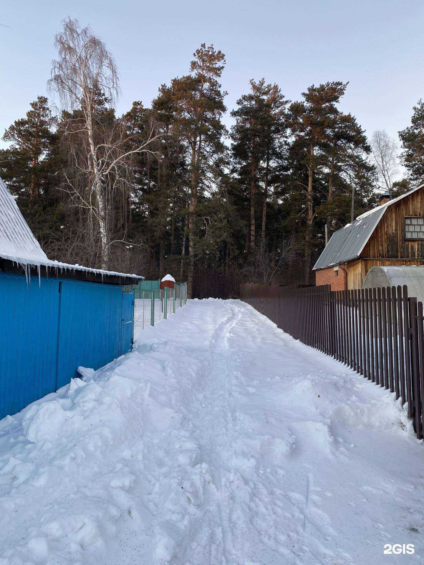 Отзывы на компанию Автодорстрой в г. Барнаул c фото