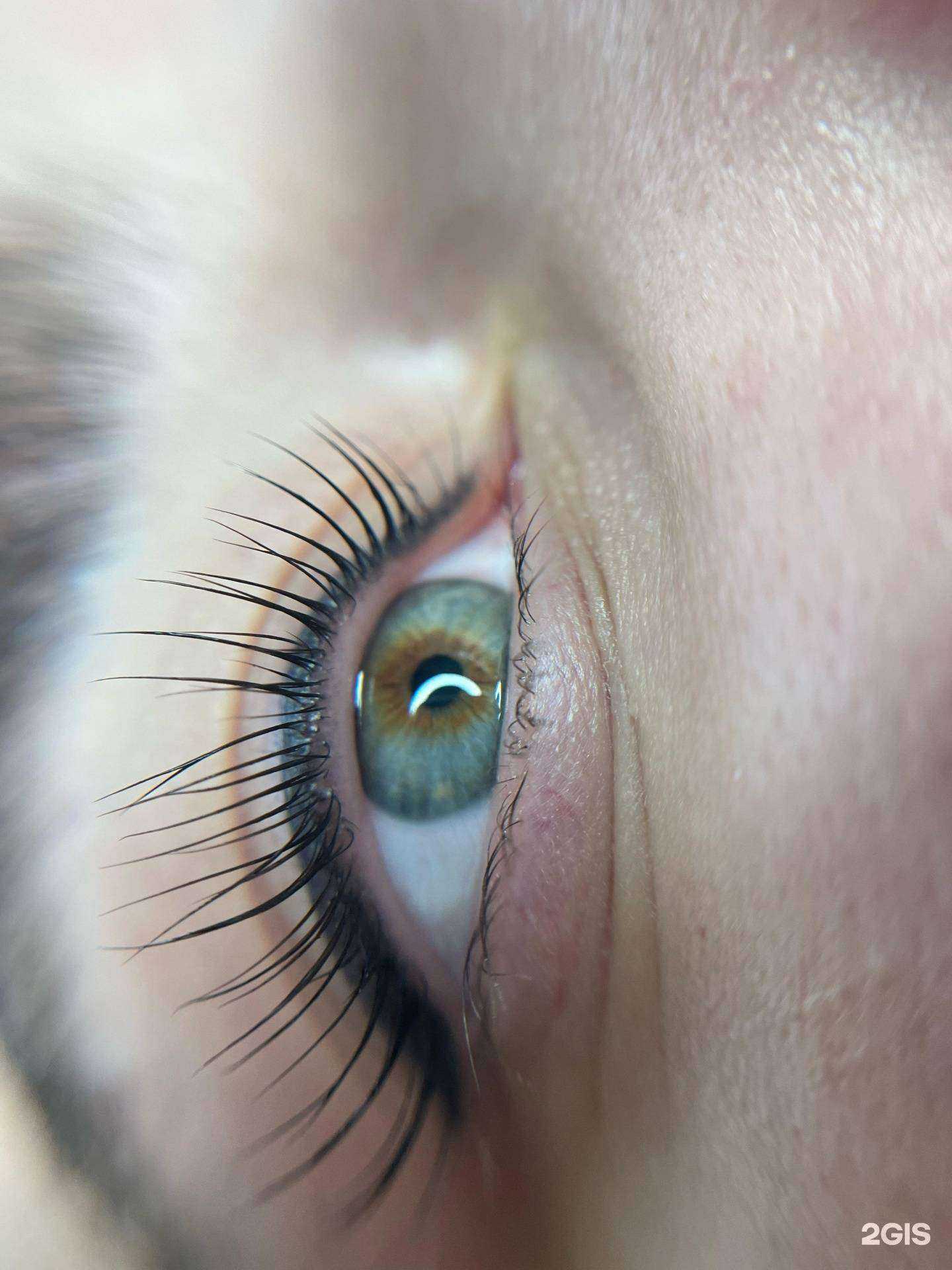 Отзывы на компанию Атмосфера в г. Томск c фото