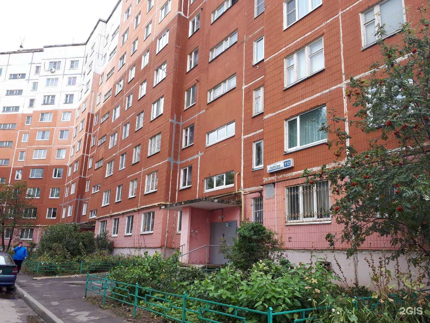 Отзывы на компанию Kalina latina в Смоленске c фото