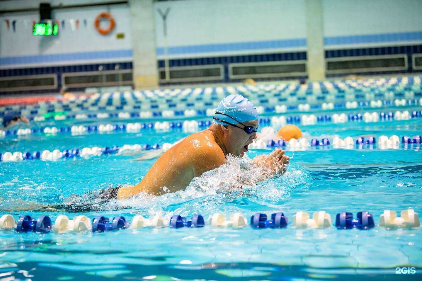 Отзывы на компанию Школа плавания для взрослых в Краснодаре c фото