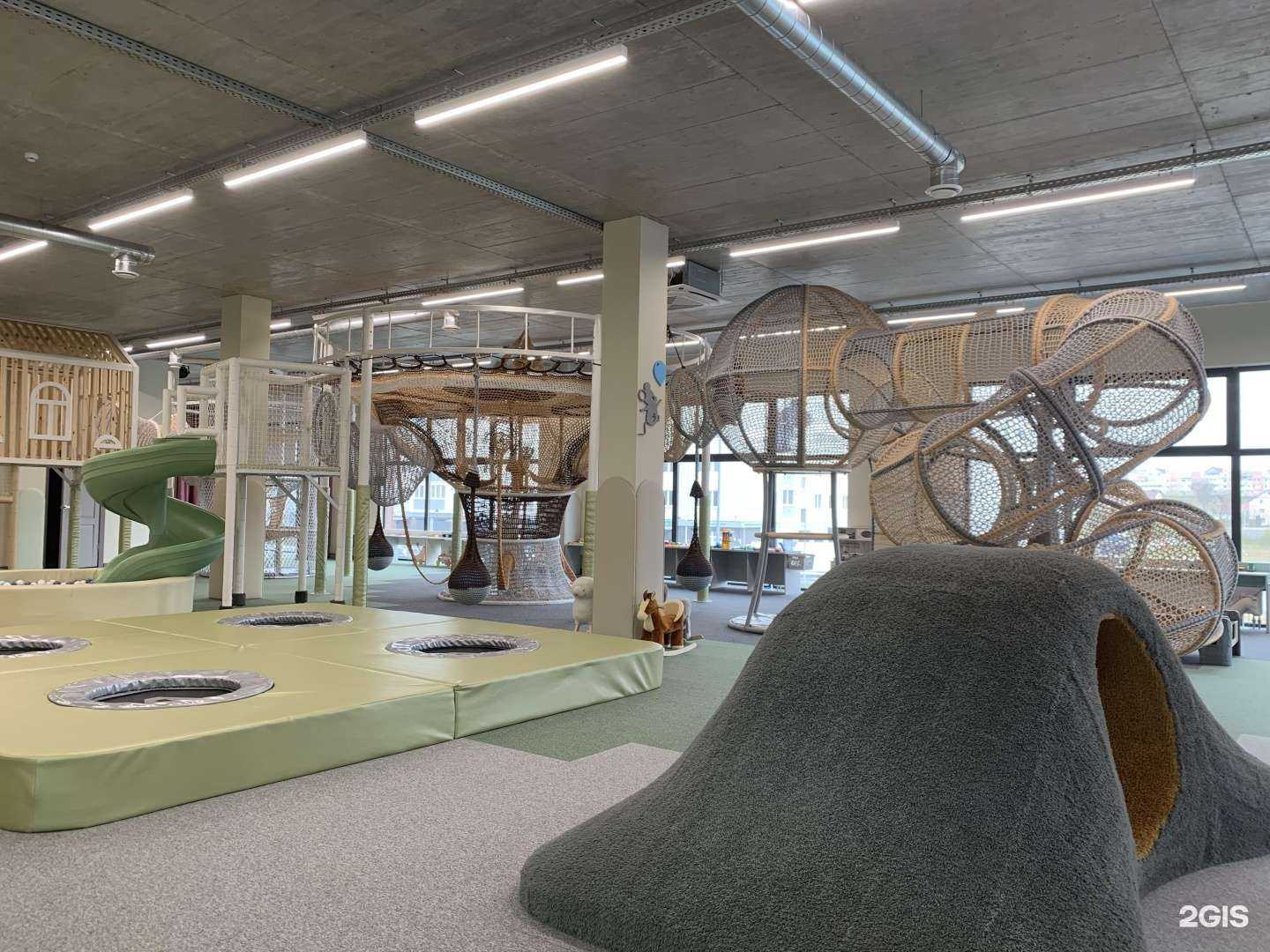 Отзывы на компанию Мышки в г. Калининград c фото