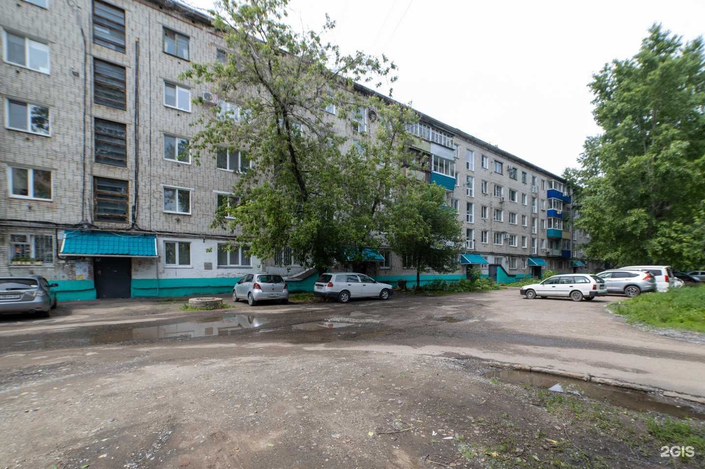 Отзывы на компанию Котопес в Комсомольске-на-Амуре c фото - фотография 2 из 2