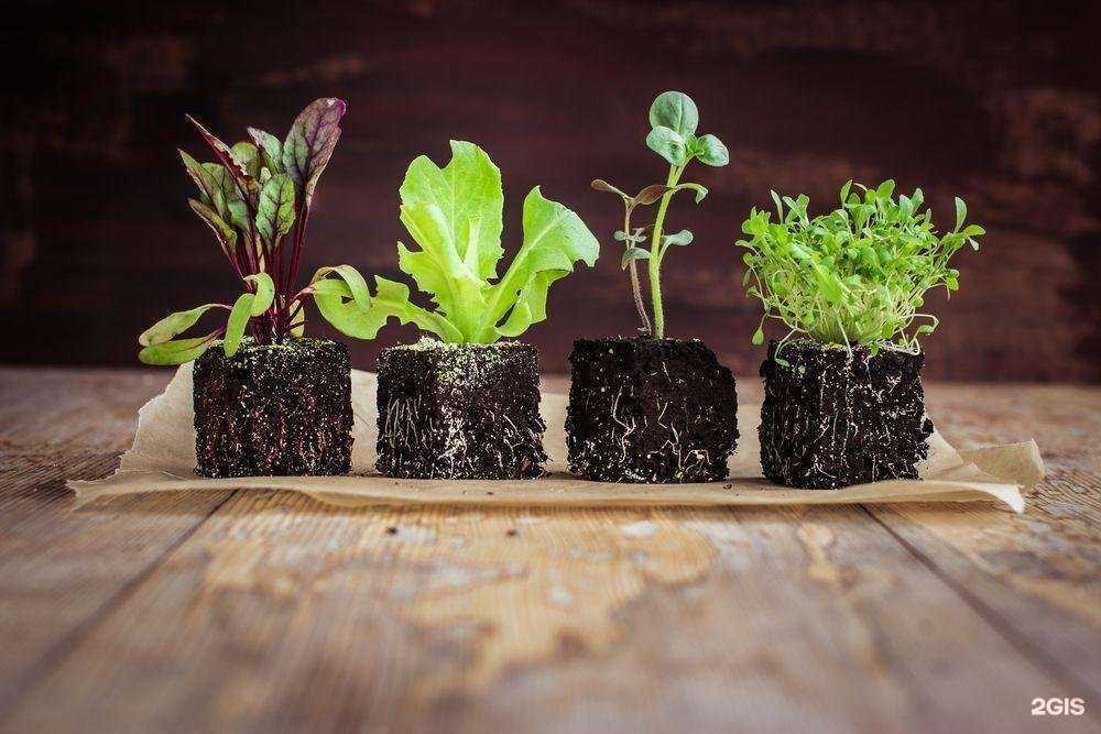 Отзывы на компанию Плодородие в Краснодаре c фото