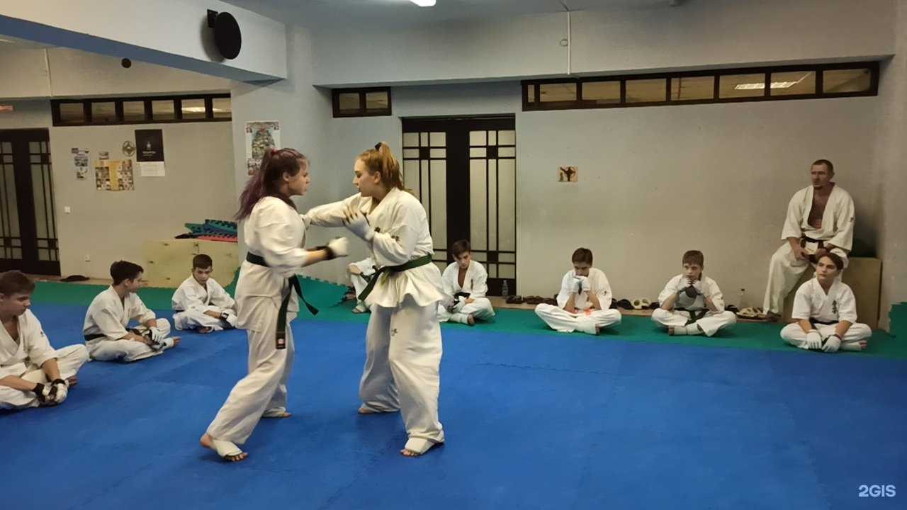 Отзывы на компанию Тольяттинская городская федерация киокусинкай карате-до в Тольятти c фото