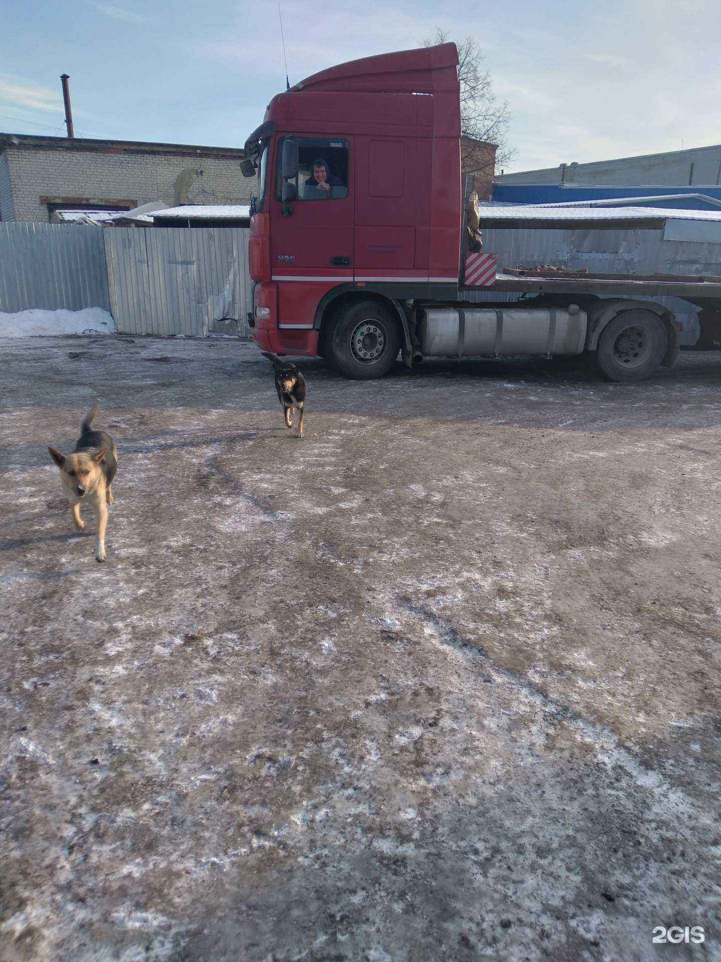 Отзывы на компанию ЛесПаркХоз в г. Тюмень c фото