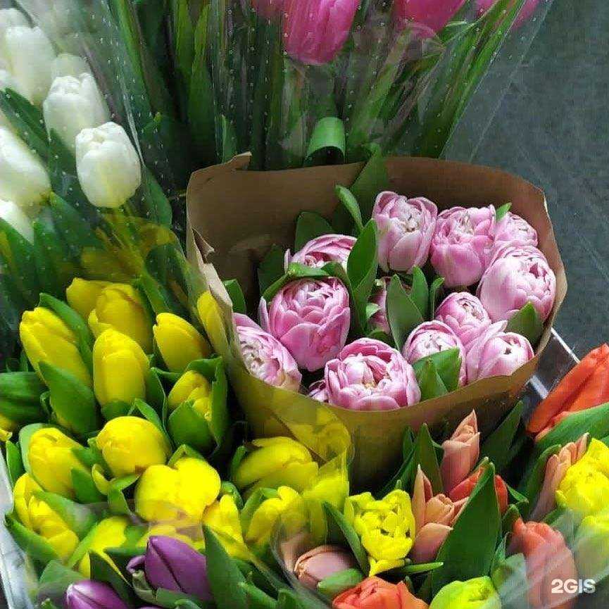 Отзывы на компанию Лаванда в г. Бронницы c фото