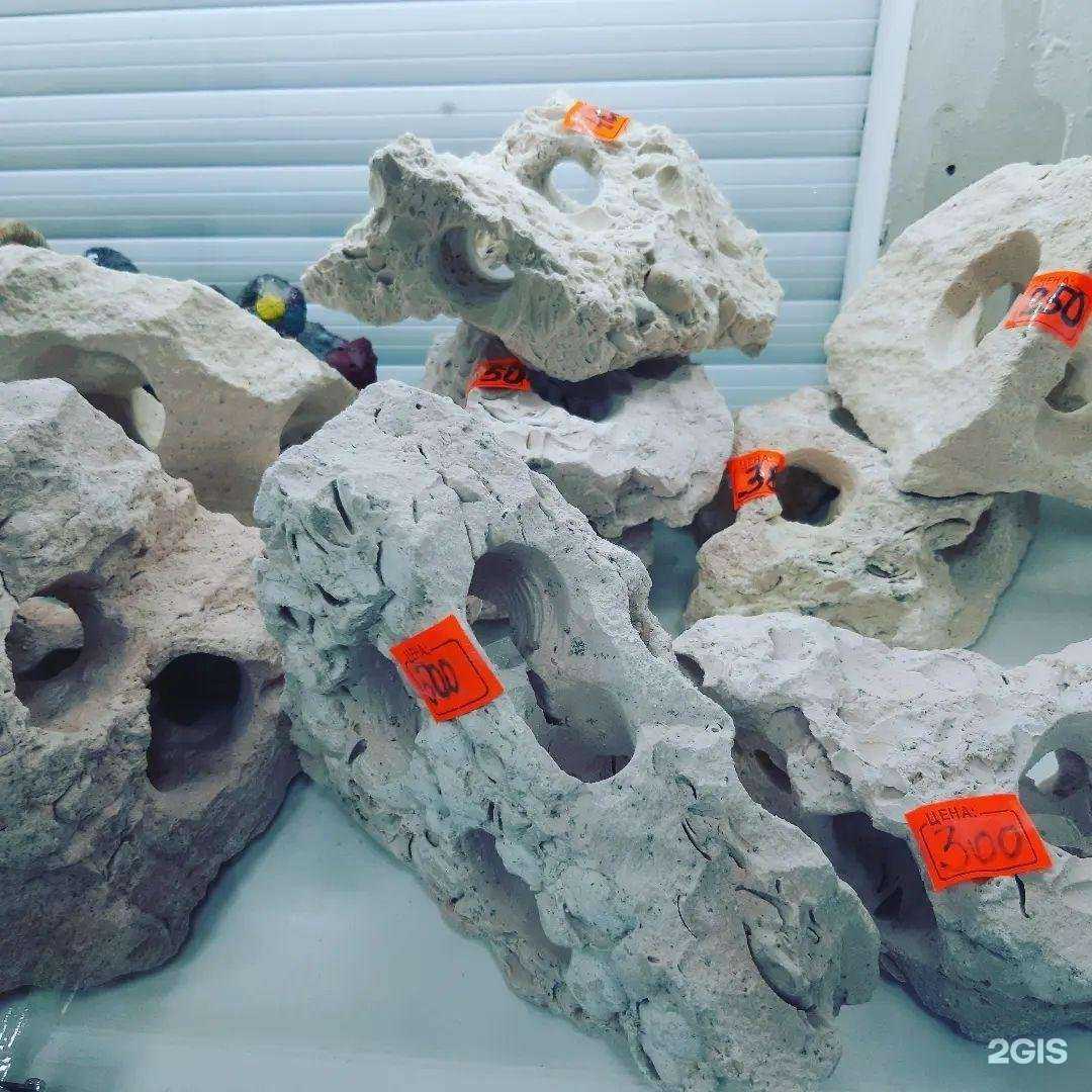 Отзывы на компанию Оазис НЧ в Набережных Челнах c фото