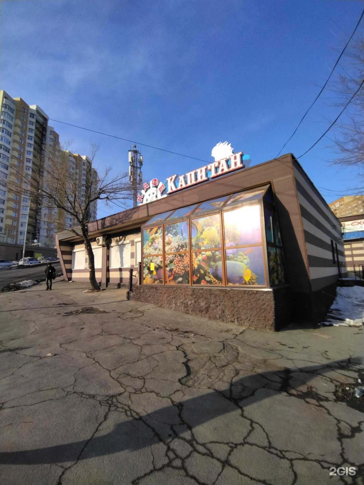 Отзывы на компанию Унесенные паром в Владивостоке c фото - фотография 2 из 2