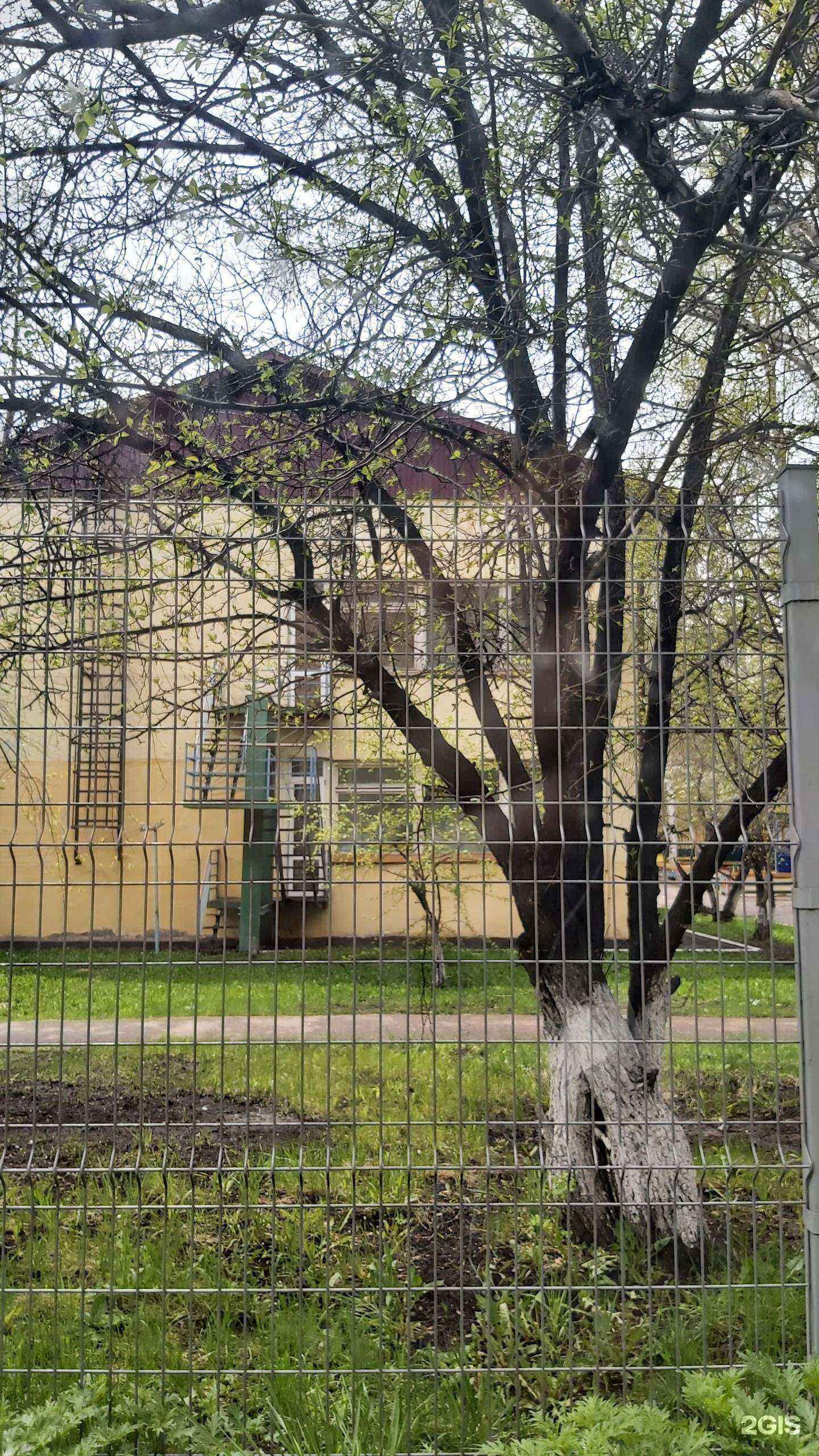 Отзывы на компанию Детский сад №8 г. Иркутска в Иркутске c фото