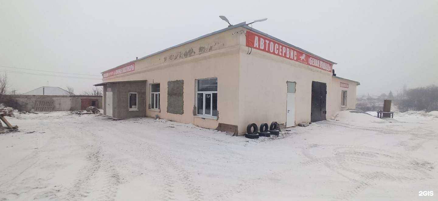 Отзывы на компанию Белая лошадь в Старом Осколе c фото