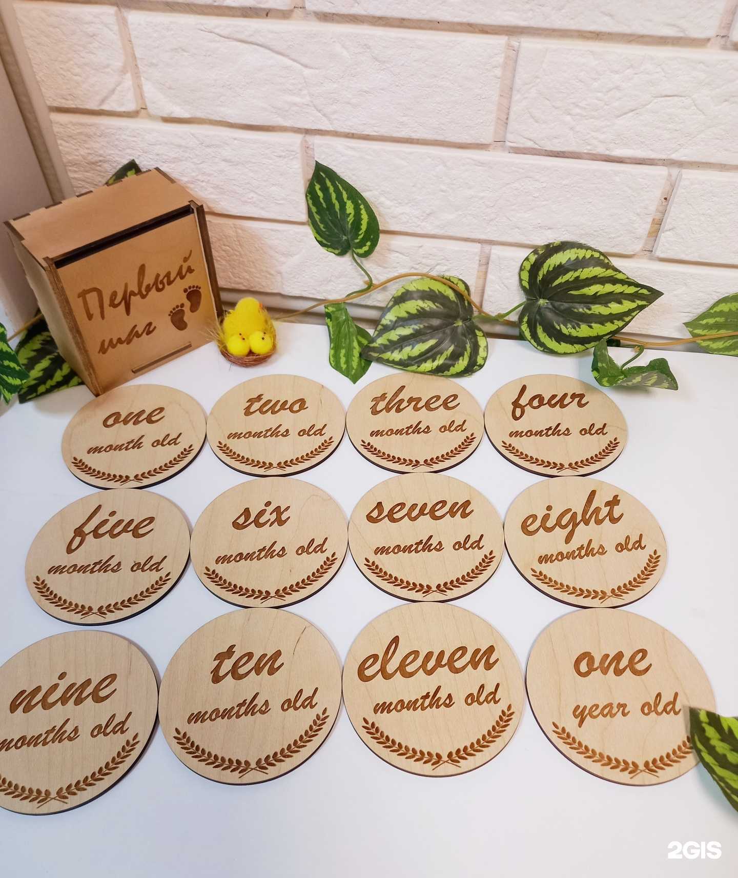 Отзывы на компанию Дом Папы Карло в г. Ульяновск c фото