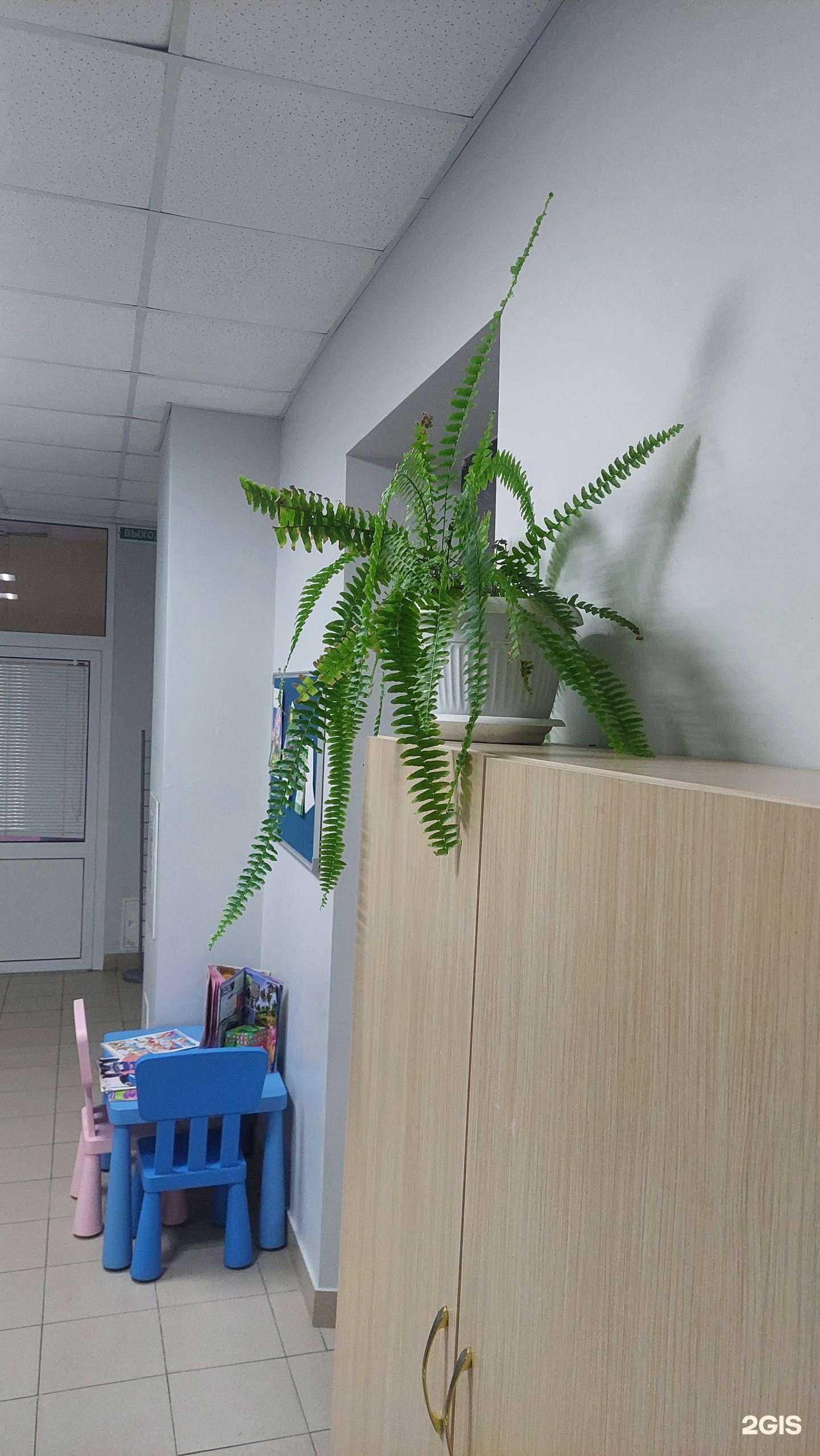 Отзывы на компанию Лечебно-диагностический центр в г. Нижний Новгород c фото