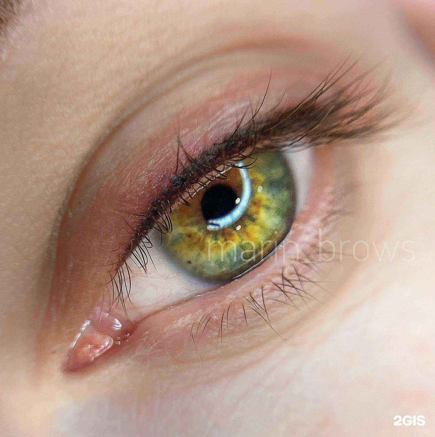 Отзывы на компанию marin_brows в Краснодаре c фото