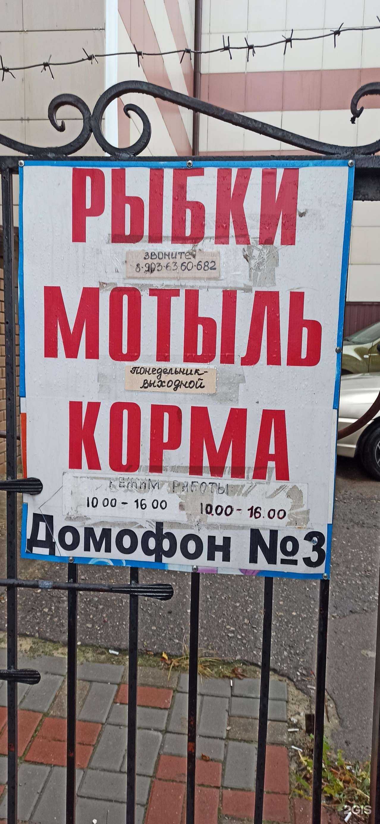 Отзывы на компанию Рыбки в Калуге c фото