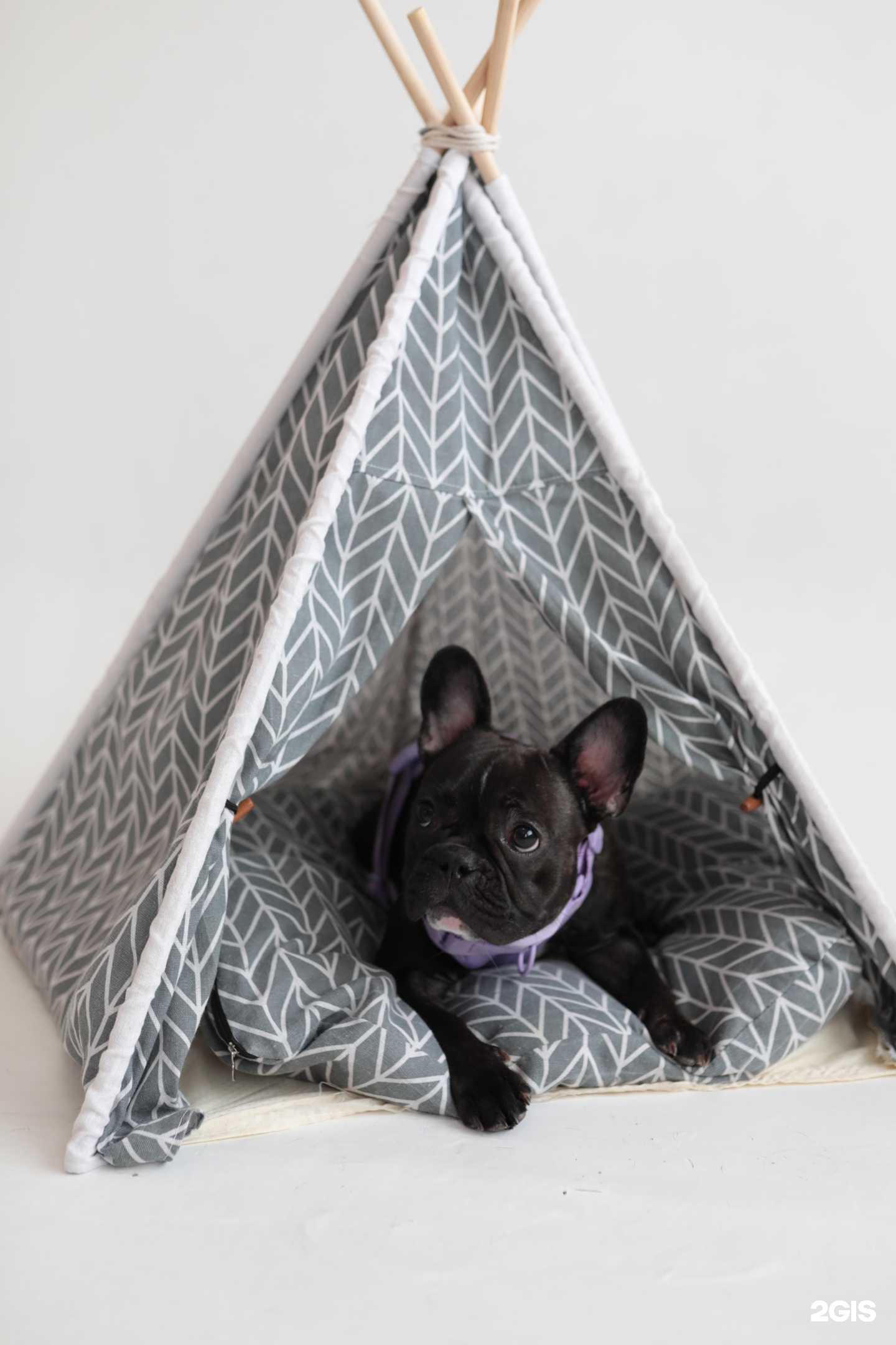 Отзывы на компанию Holy Mars в г. Владивосток c фото