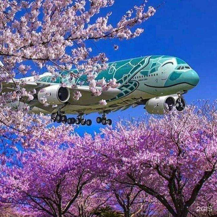 Отзывы на компанию Iron Cherry в г. Лосино-Петровский c фото