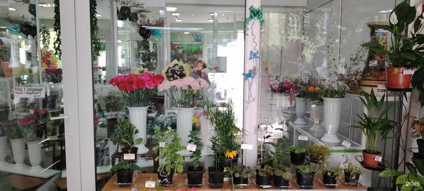 Отзывы на компанию Цветы Заполярья в г. Мурманск c фото