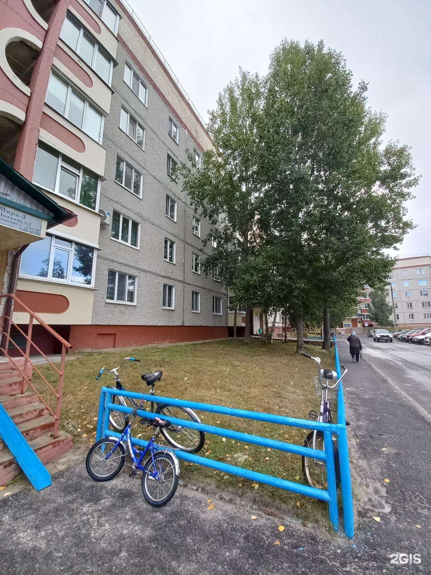 Отзывы на компанию Clever school в Лангепасе c фото - фотография 2 из 2