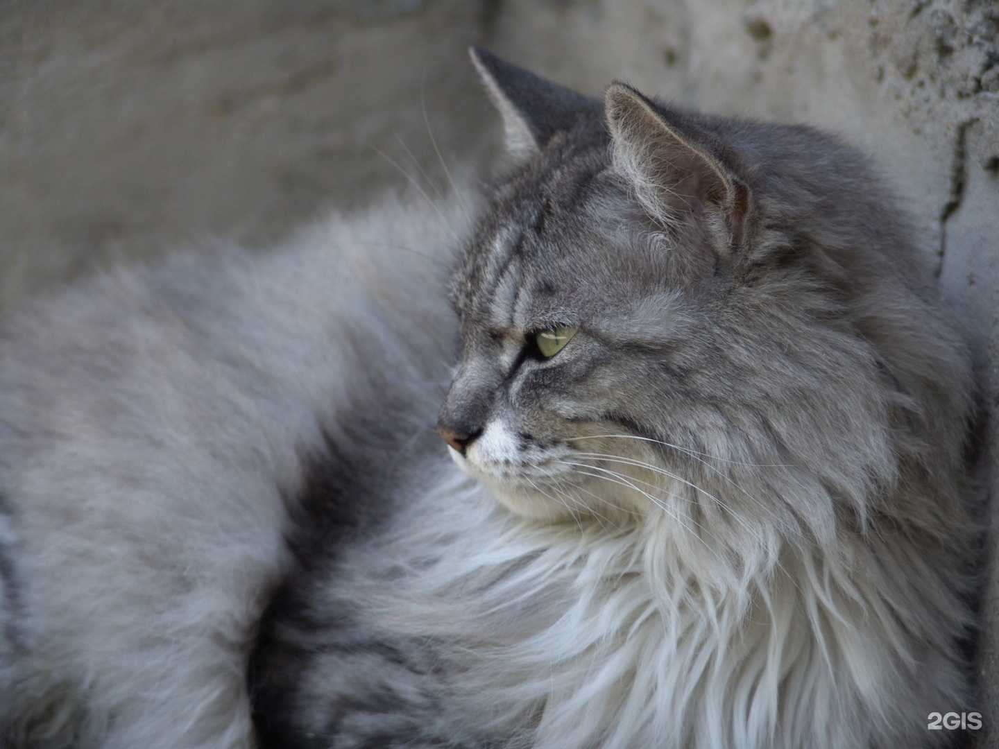 Отзывы на компанию Корд-группа в г. Владивосток c фото