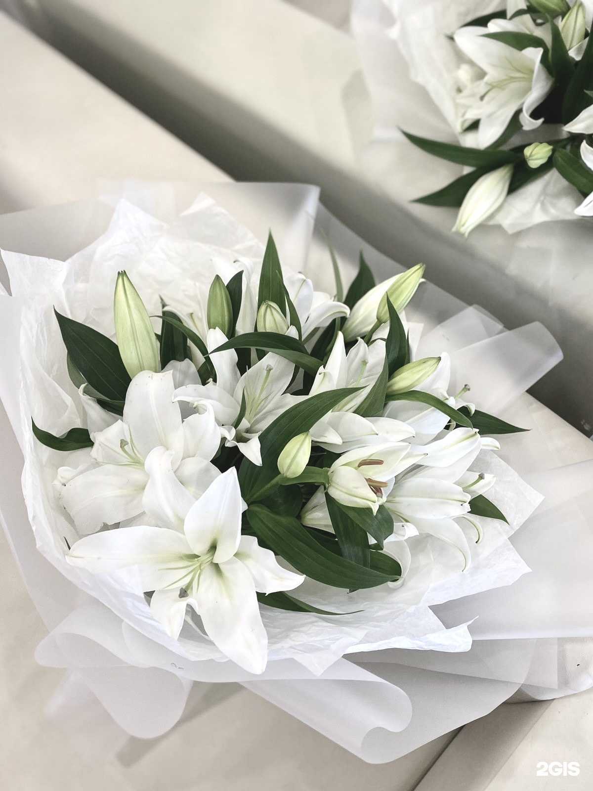 Отзывы на компанию Lotus в г. Альметьевск c фото