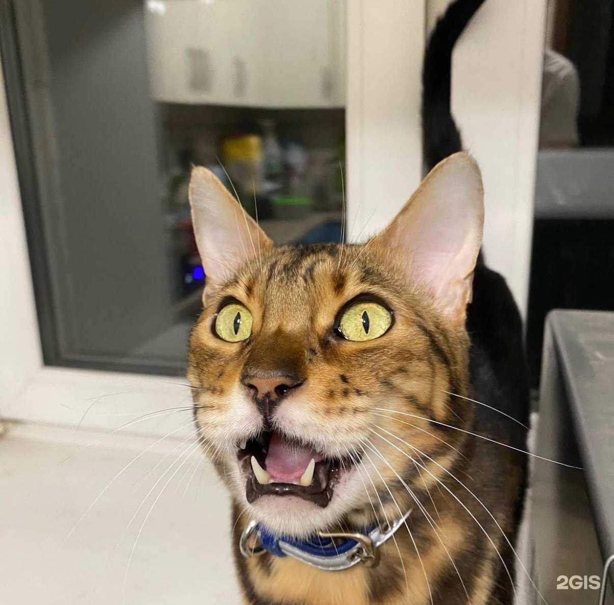 Отзывы на компанию Ника в г. Кемерово c фото