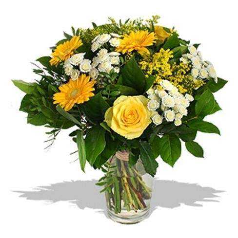 Отзывы на компанию Аврора в Казани c фото