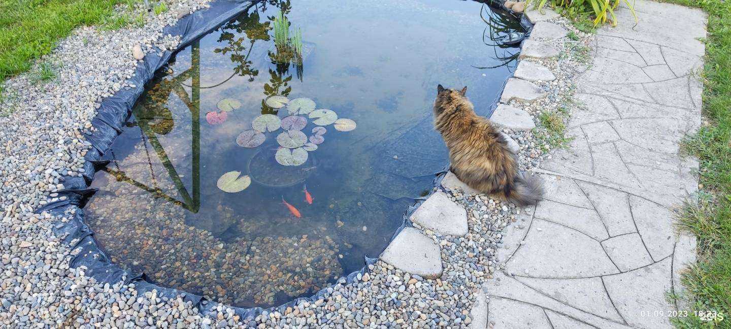 Отзывы на компанию Зоолавка в г. Барнаул c фото