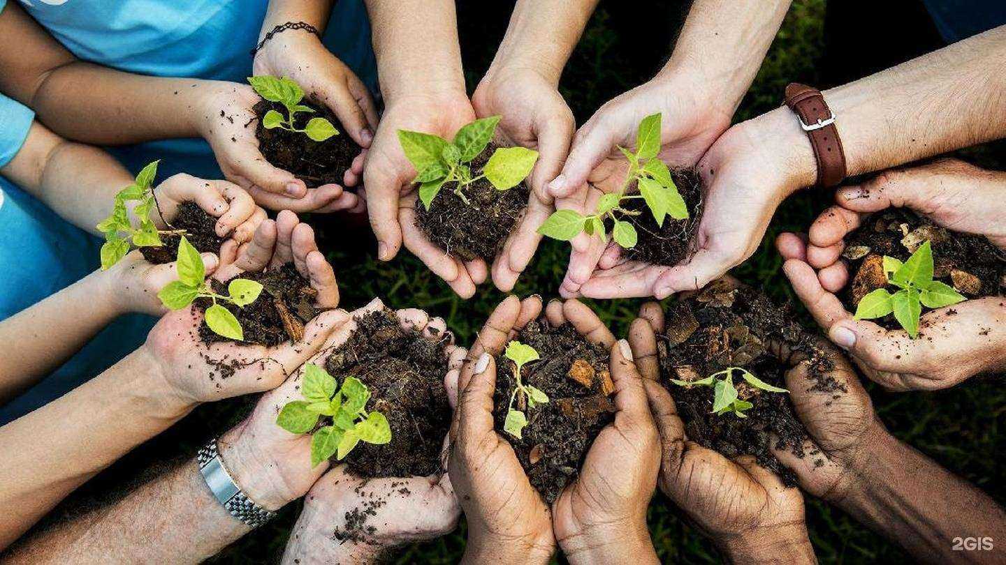 Отзывы на компанию Смарт Органик в г. Тюмень c фото