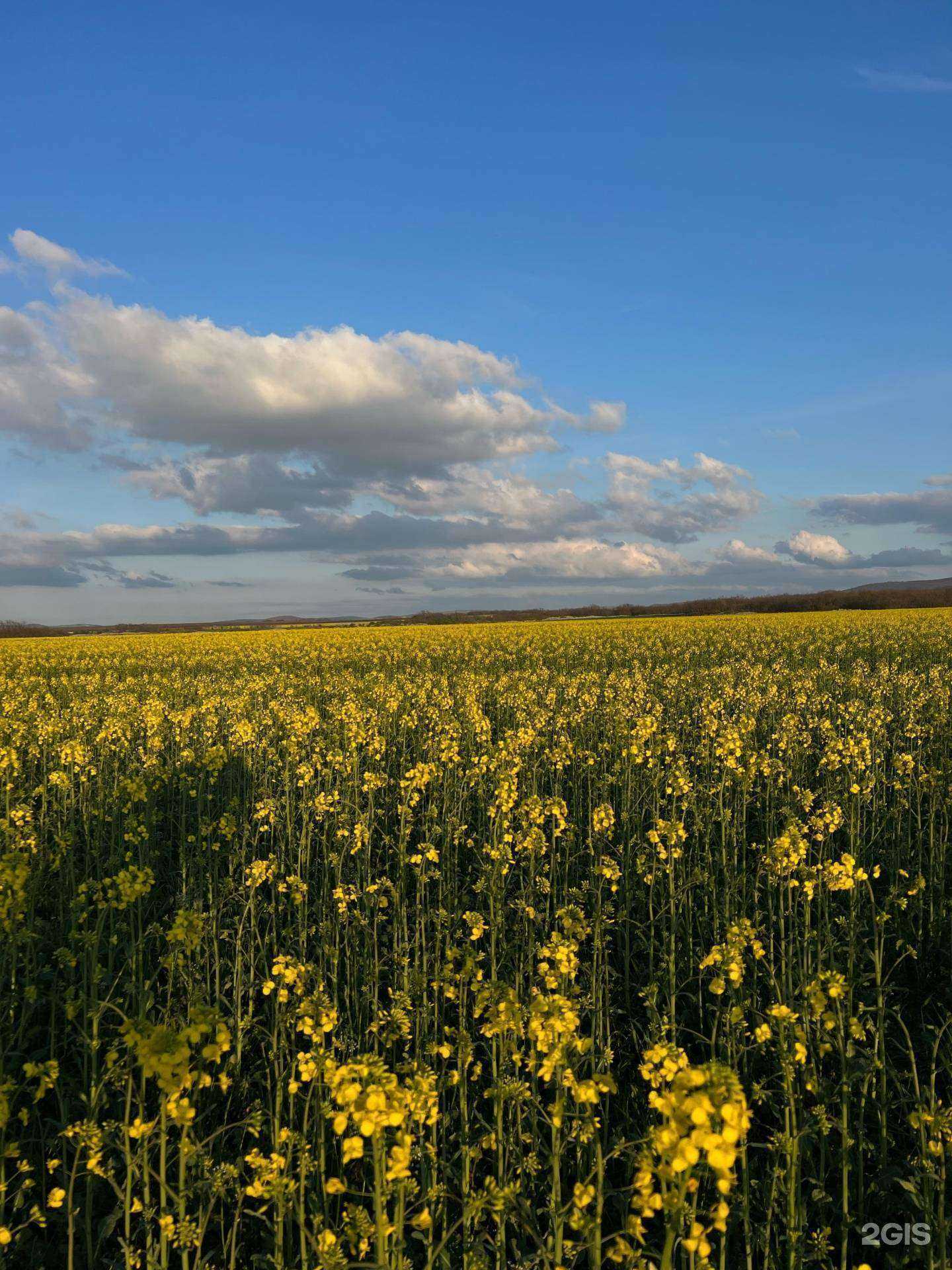 Отзывы на компанию Агентство недвижимости №1 в г. Анапа c фото