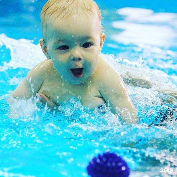 Отзывы на компанию Чудо остров в г. Барнаул c фото