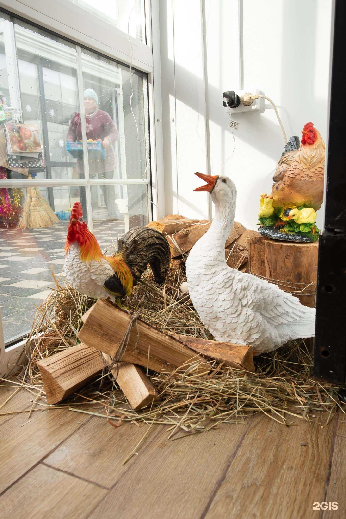 Отзывы на компанию Птичий дворъ в Ростове-на-Дону c фото