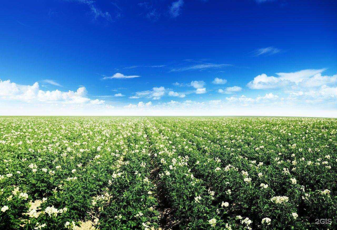 Отзывы на компанию Курган-холод в Кургане c фото