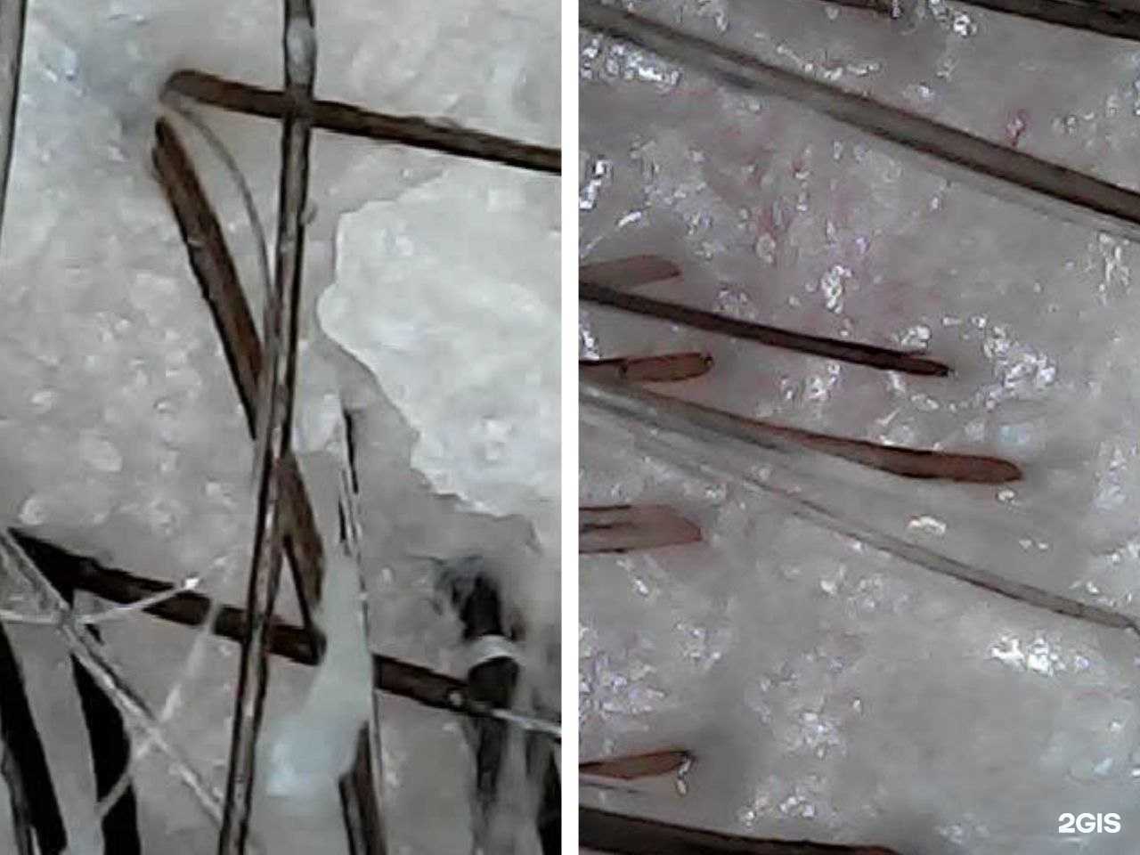 Отзывы на компанию Студия реконструкции волос в Ульяновске c фото