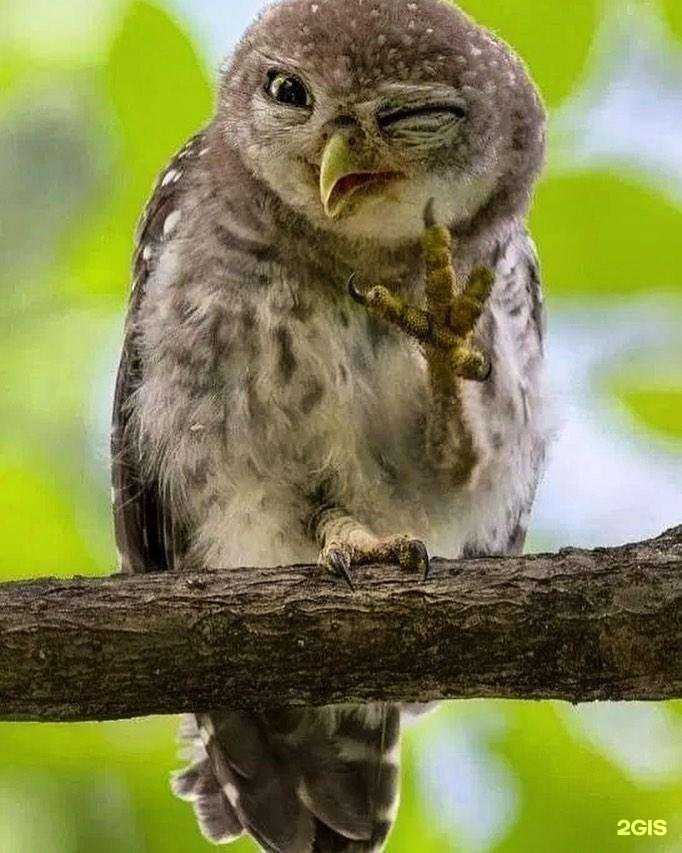 Отзывы на компанию DIO в Искитиме c фото