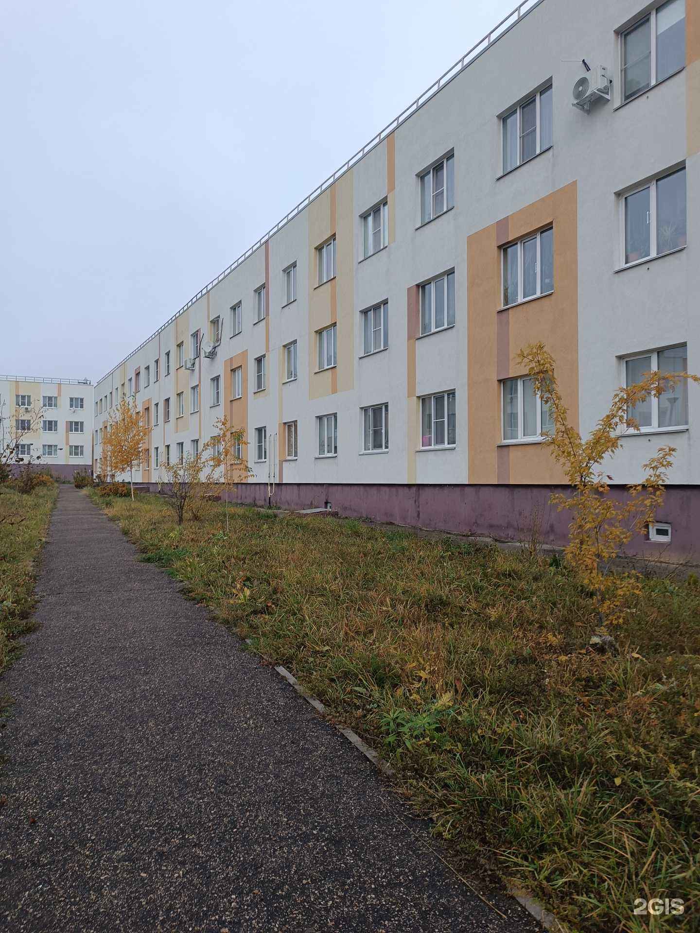 Отзывы на компанию Камелия в Нижнем Новгороде c фото