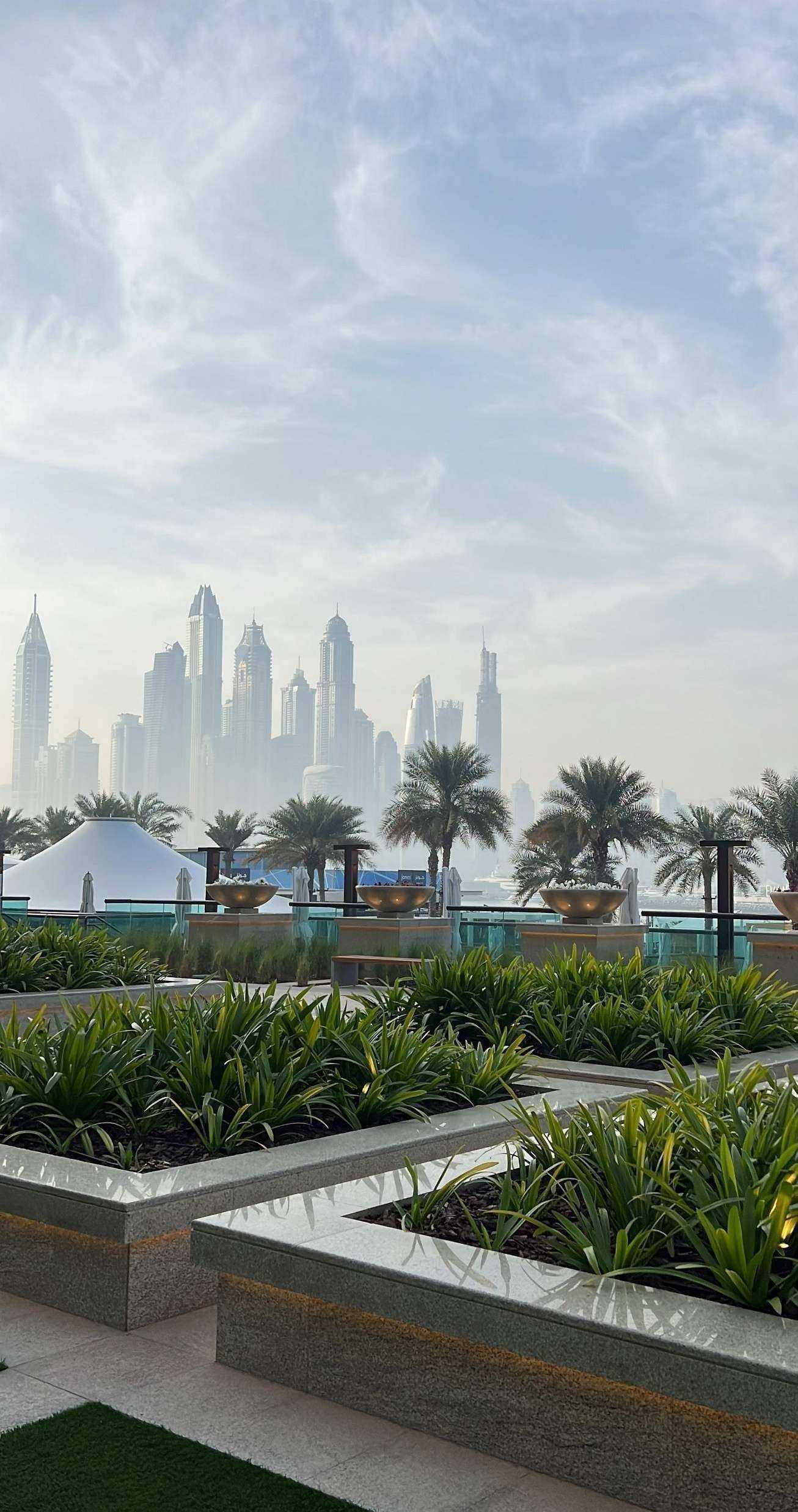 Отзывы на компанию Акуна Матата в Челябинске c фото