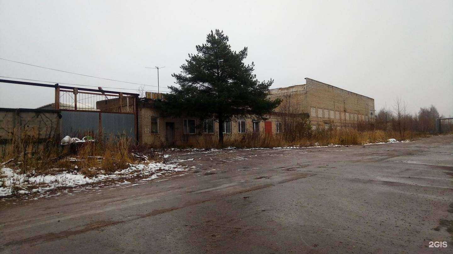 Отзывы на компанию Старбайт в г. Кострома c фото