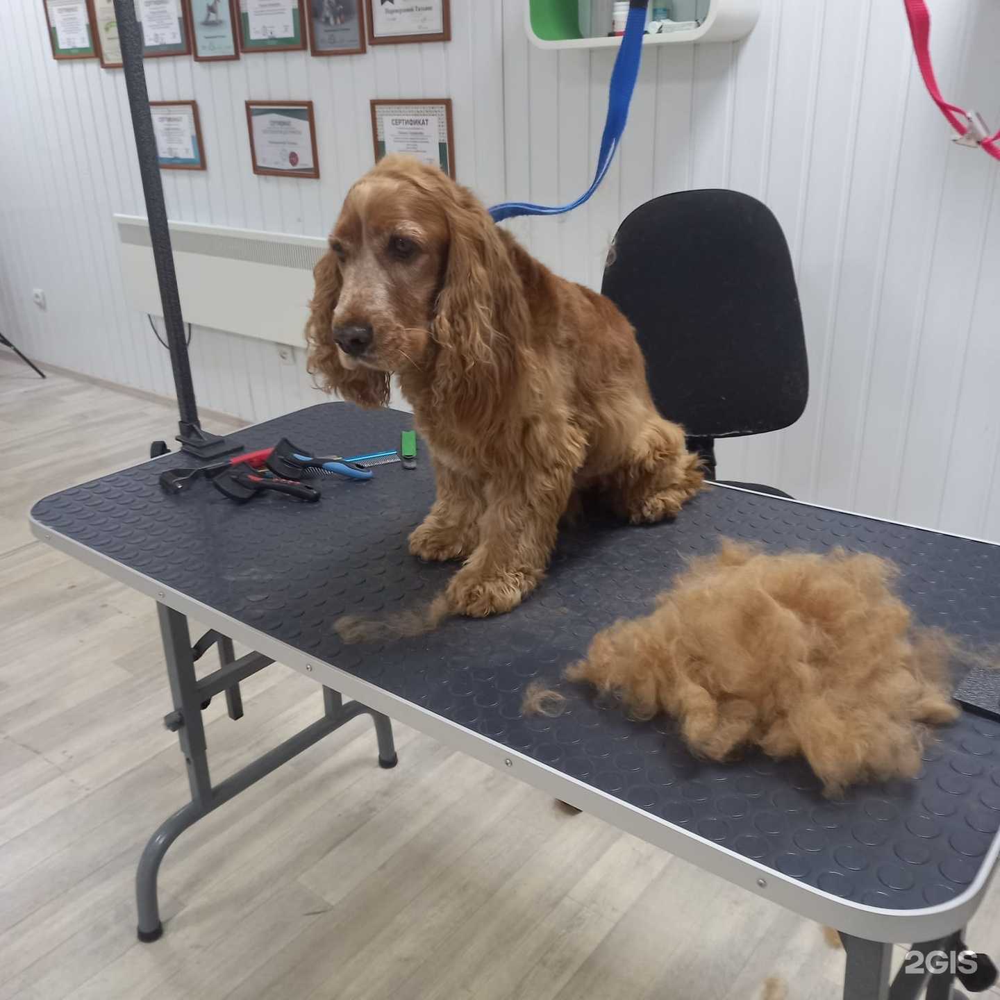 Отзывы на компанию Groom Island в Саратове c фото