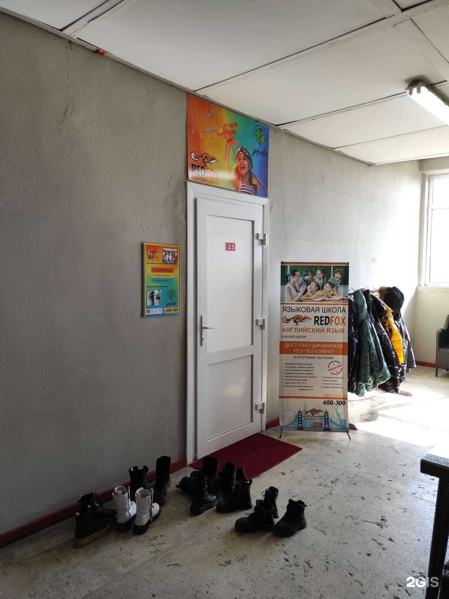 Отзывы на компанию Red fox в г. Находка c фото