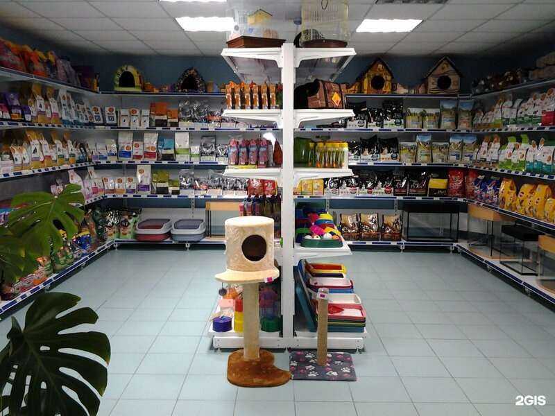 Отзывы на компанию Мурзик&Сo в Пушкине c фото