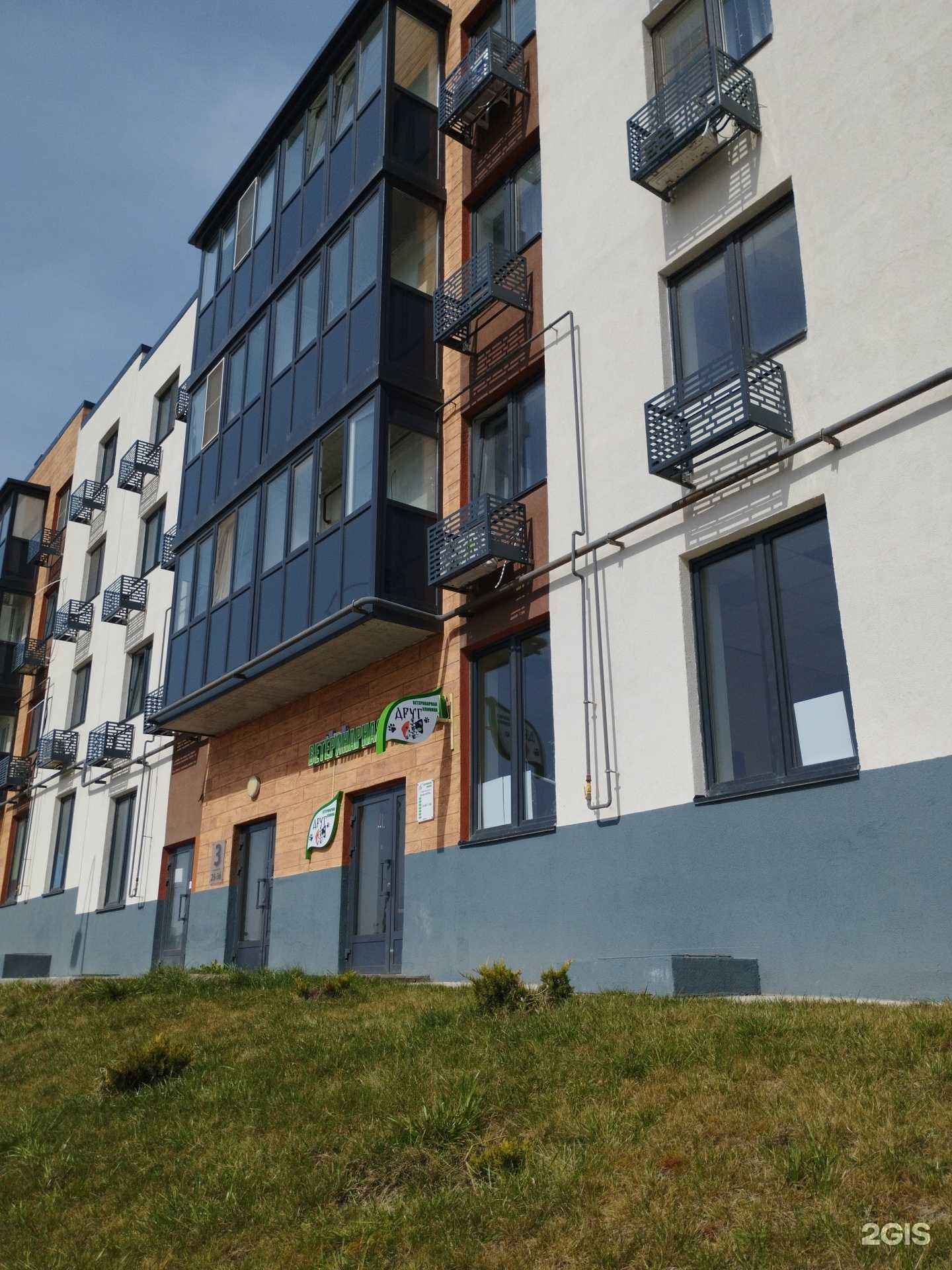 Отзывы на компанию Друг в Волгограде c фото