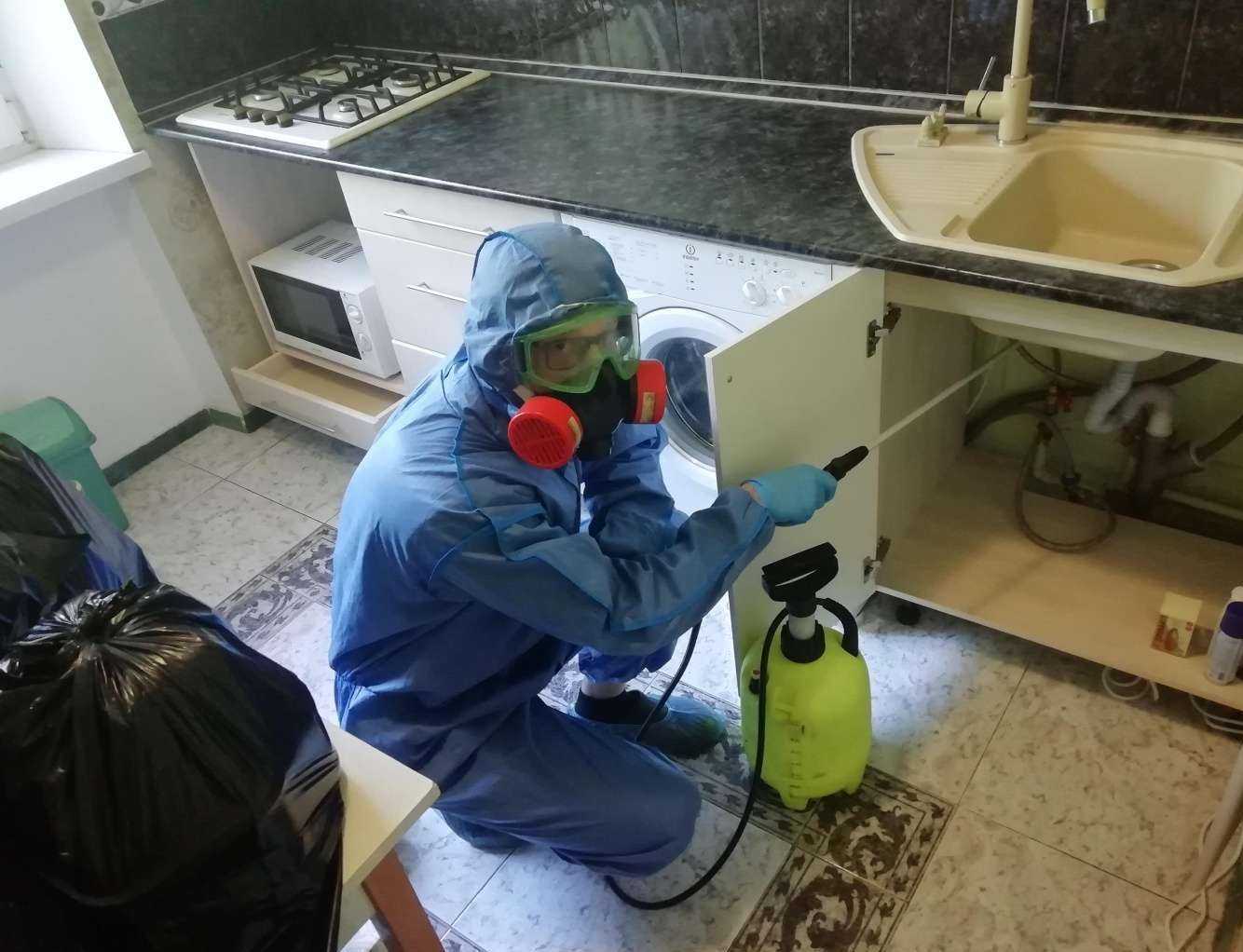 Отзывы на компанию Дезинсектор в Барнауле c фото