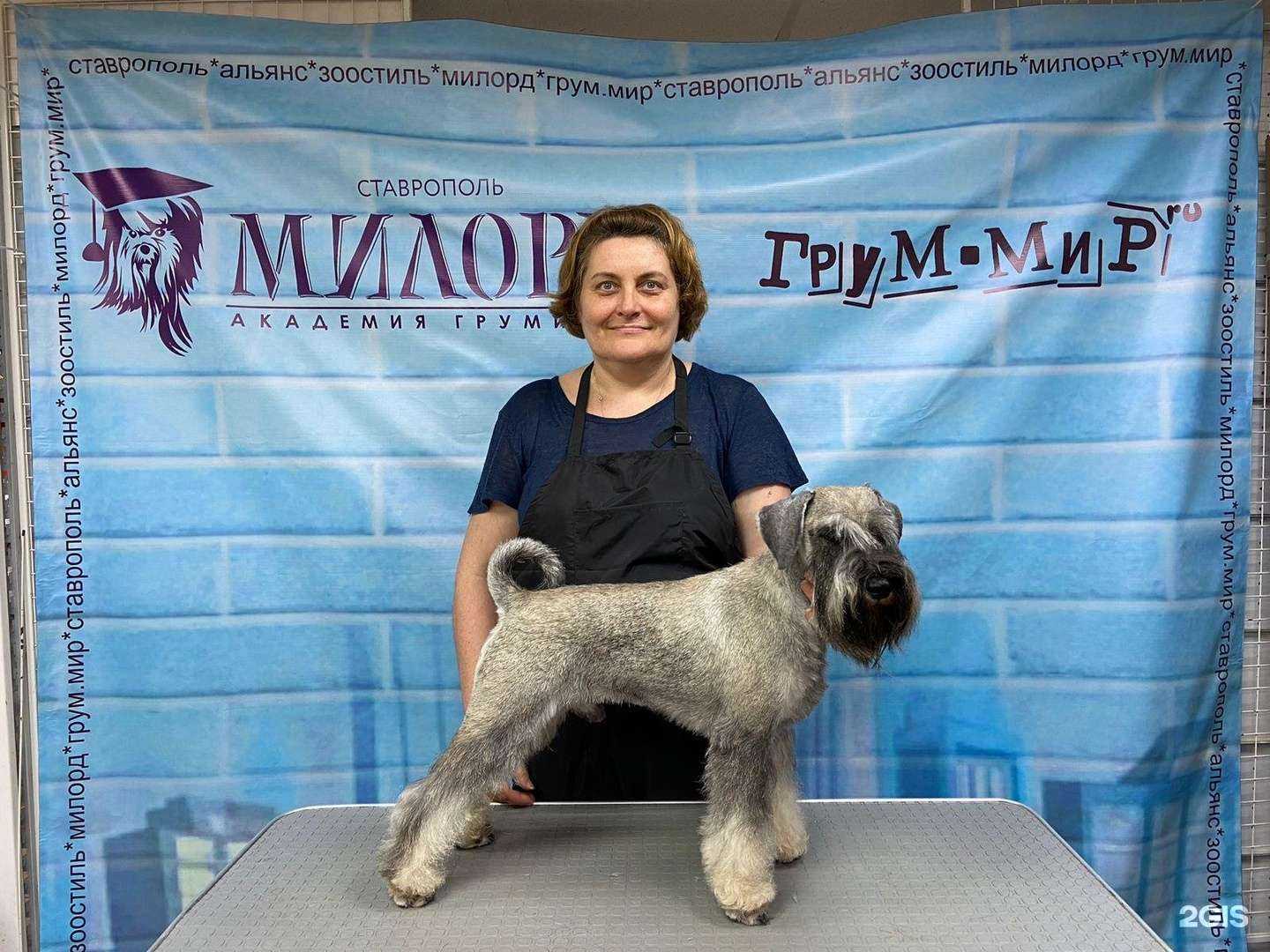 Отзывы на компанию Стильная штучка в Ставрополе c фото